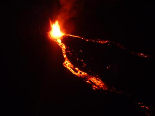 La nuit est chaude, elle est sauvage... La nuit est chaude, elle est sauvage...