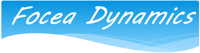 focea_dynamics.png